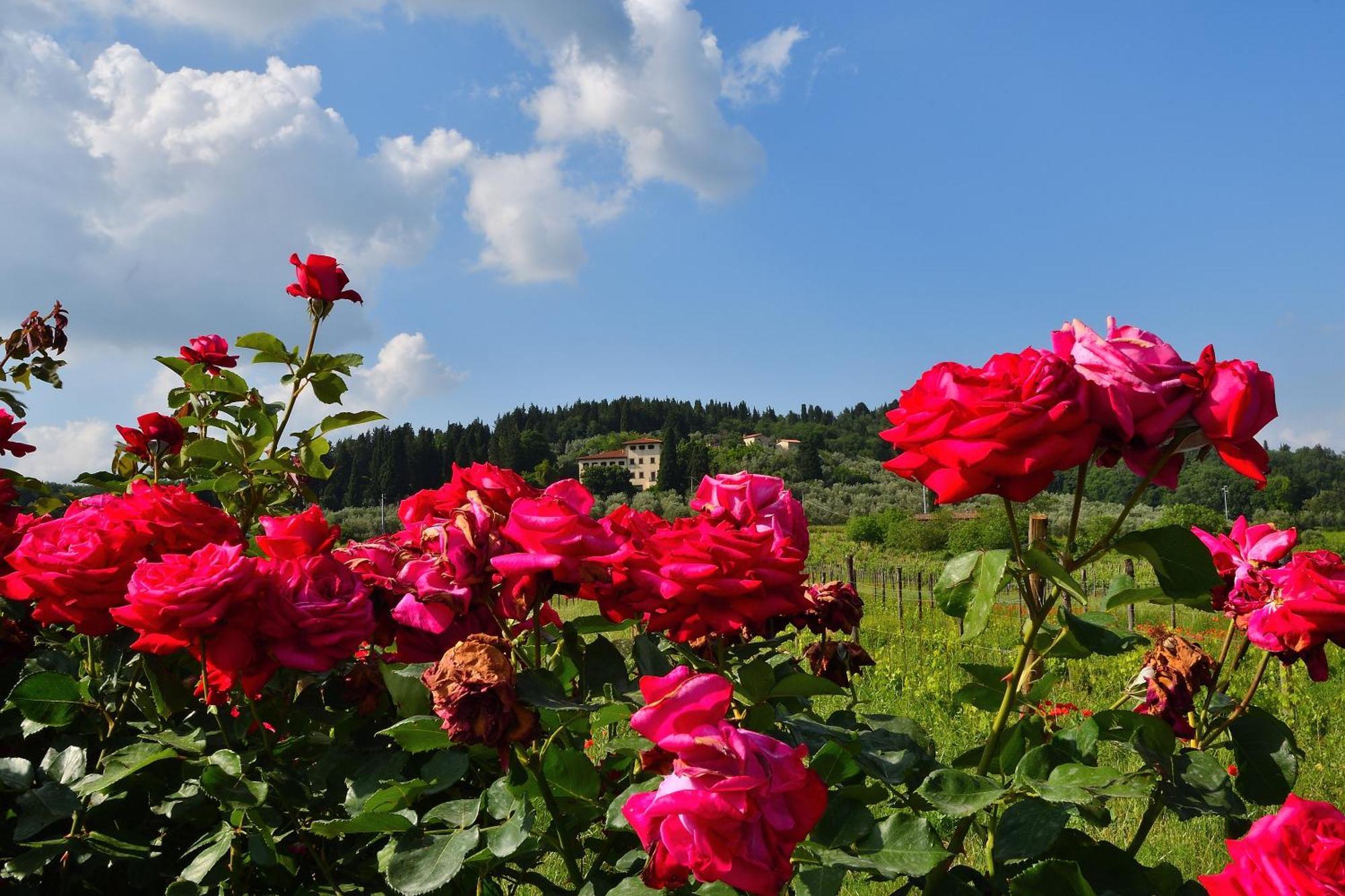 Villa Silvia Rignano Sull Arno Bagian luar foto